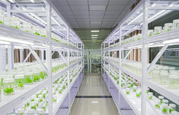 Popular digital electronic products