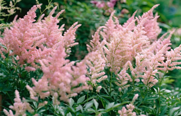 Textile peripheral products